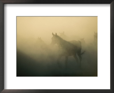 Horses And Horseback Riders In A Field by Sisse Brimberg Pricing Limited Edition Print image