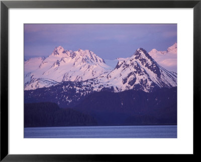 Alpenglow On The Kenai Mountains From Homer, Alaska by Rich Reid Pricing Limited Edition Print image