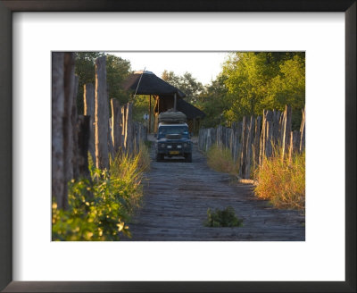 Bridge Near The Camp, Moremi Wildlife Reserve, Botswana, Africa by Thorsten Milse Pricing Limited Edition Print image