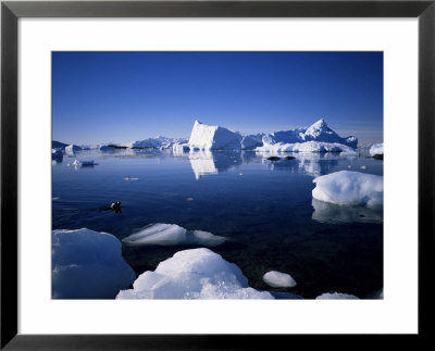 Ice Scenery And Seal, Antarctica, Polar Regions by Geoff Renner Pricing Limited Edition Print image