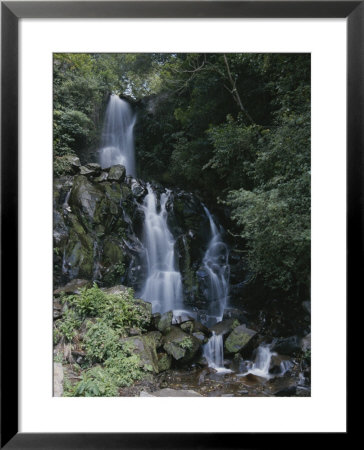 A Narrow Waterfall Braiding Through The Trees by George F. Mobley Pricing Limited Edition Print image