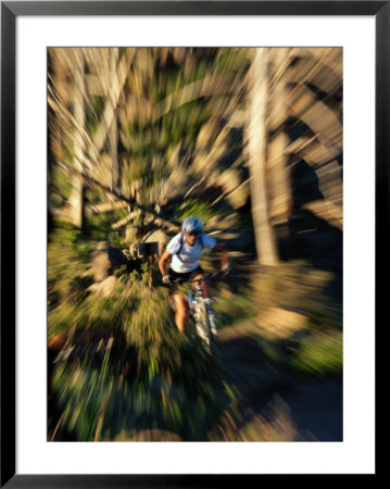 A Woman Mountain Biking Near Flagstaff by Bill Hatcher Pricing Limited Edition Print image