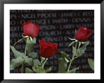 Roses Glow Against The Black Granite Of The Vietnam Veterans Memorial by Karen Kasmauski Pricing Limited Edition Print image