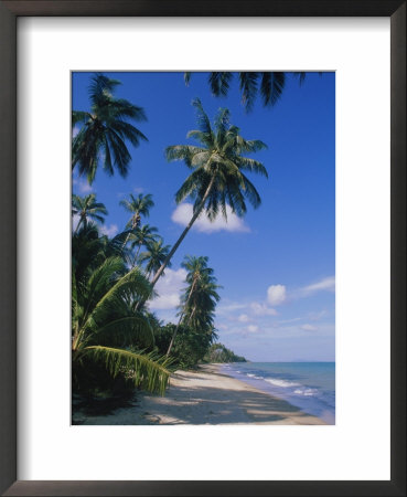 Palm Trees, Beach, Thailand by Jacob Halaska Pricing Limited Edition Print image