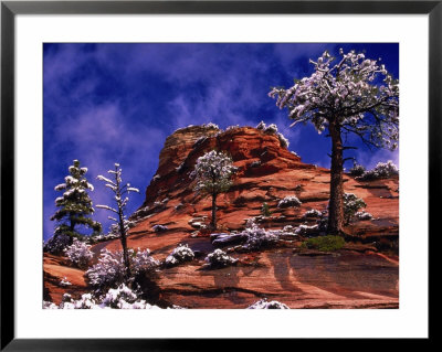 Zion National Park In The Snow, Utah by Russell Burden Pricing Limited Edition Print image