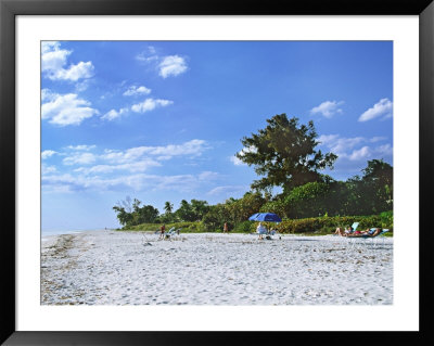 Beach On Sanibel Island, Florida, Usa by Charles Sleicher Pricing Limited Edition Print image