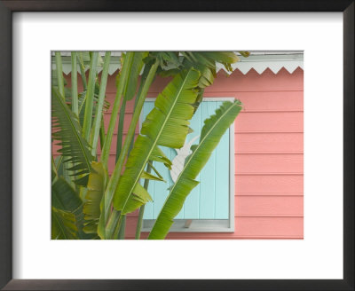 Palm And Pineapple Shutters Detail, Great Abaco Island, Bahamas by Walter Bibikow Pricing Limited Edition Print image
