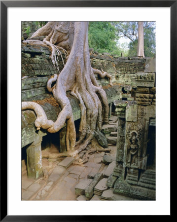 Ta Prohm, Angkor, Cambodia by Bruno Morandi Pricing Limited Edition Print image