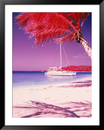 Catamaran On The Caribbean Shore by Jim Mcguire Pricing Limited Edition Print image