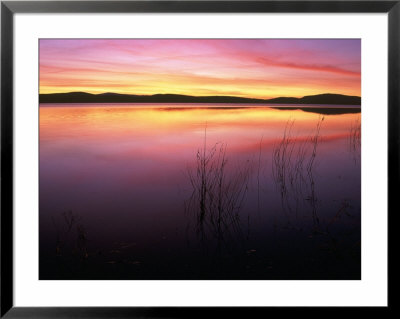 Sunrise On Klamath Lake Wild Refuge, Ca by Kyle Krause Pricing Limited Edition Print image