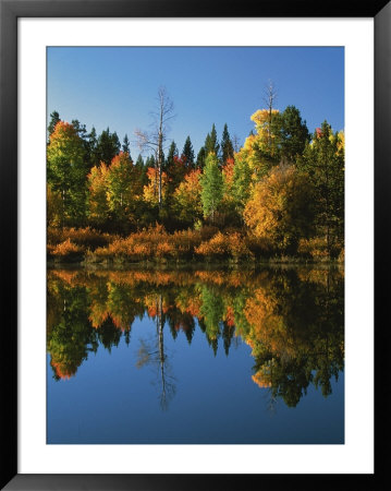 Oxbow Bend, Grand Tetons National Park, Wyoming, Usa by Dee Ann Pederson Pricing Limited Edition Print image