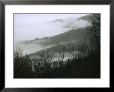 Fog In The Valley Near Fishers Gap, Along Skyline Drive by Raymond Gehman Pricing Limited Edition Print image