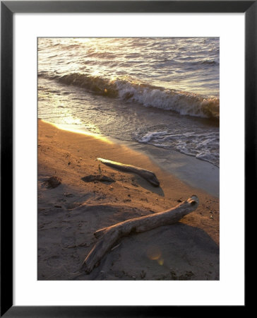Broken Logs, Lake Scenes by Keith Levit Pricing Limited Edition Print image