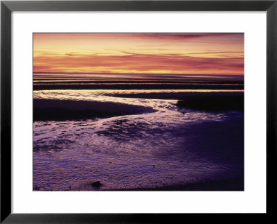 Tidal Flat At Sunset, Cape Cod, Ma by Gary D. Ercole Pricing Limited Edition Print image