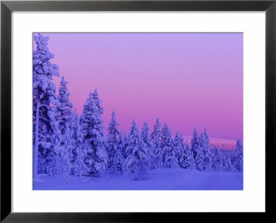 Sunset In The Lappish Winter, Finland by Daisy Gilardini Pricing Limited Edition Print image
