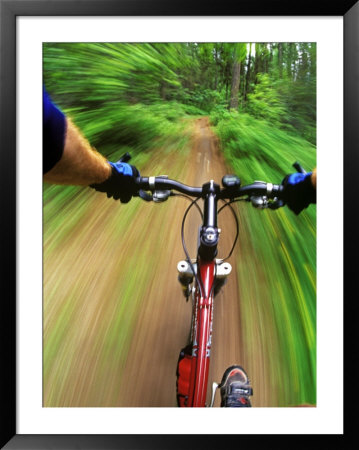 Mountain Bike Trail Riding by Chuck Haney Pricing Limited Edition Print image
