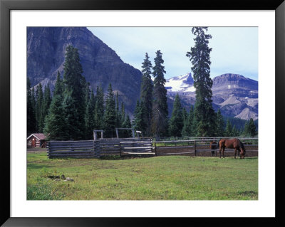 Log Cabin, Horse And Corral, Banff National Park, Alberta, Canada by Janis Miglavs Pricing Limited Edition Print image