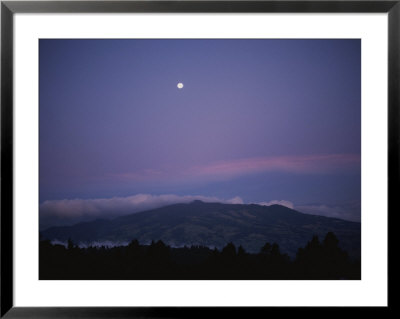 Moon Over Rain Forest, Costa Rica by Michael Melford Pricing Limited Edition Print image