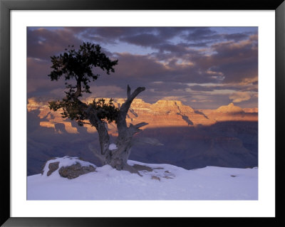 Sunset On The South Rim, Grand Canyon National Park, Arizona, Usa by Darrell Gulin Pricing Limited Edition Print image