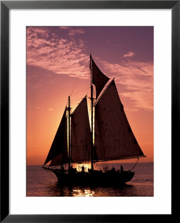 Sailboat At Sunset, Key West's Old Town Harbour, Florida Keys, Florida, Usa by Greg Johnston Pricing Limited Edition Print image