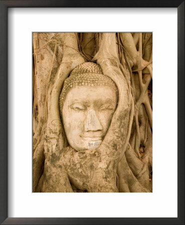Buddha In Tree Ruts At Ayuthaya, Siam, Thailand by Gavriel Jecan Pricing Limited Edition Print image