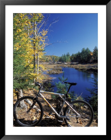 Mountain Bike At Beaver Pond In Pawtuckaway State Park, New Hampshire, Usa by Jerry & Marcy Monkman Pricing Limited Edition Print image
