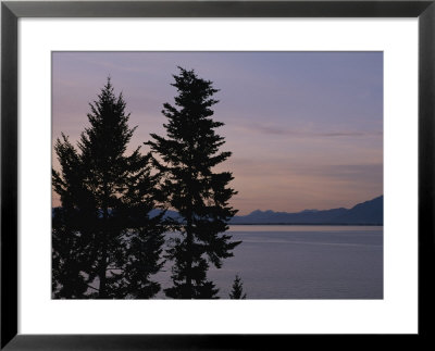 Twilit View Of Silhouetted Evergreen Trees Above Flathead Lake by Annie Griffiths Belt Pricing Limited Edition Print image