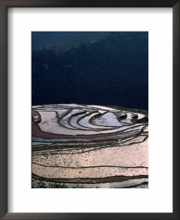 Sunlight Over Terraced Rice Fields Of Mt. Baoshan, Baoshan, Yunnan, China by Keren Su Pricing Limited Edition Print image