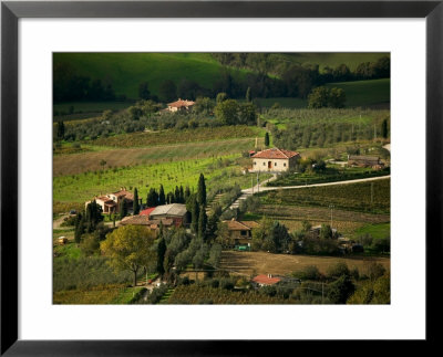 Farmland Near Montepulciano, Tuscany, Italy by David Barnes Pricing Limited Edition Print image