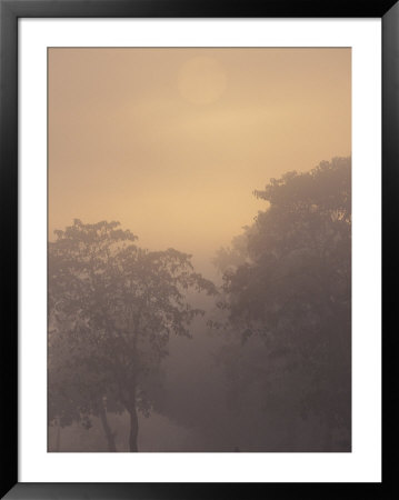 A Misty Moonscape by Roy Toft Pricing Limited Edition Print image