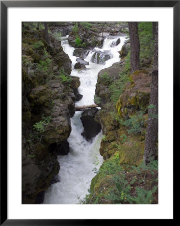 Rogue River, Rogue River National Forest by Frank Siteman Pricing Limited Edition Print image