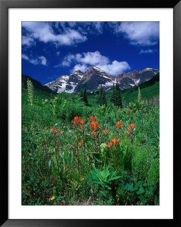 Wild Flowers And Mountain Maroon Bell, Co by David Carriere Pricing Limited Edition Print image