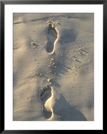 Footprints In Sand, Australia by Jacob Halaska Pricing Limited Edition Print image
