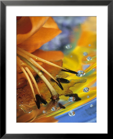 Abstract Of Lily Stamens In Reflection by Nancy Rotenberg Pricing Limited Edition Print image
