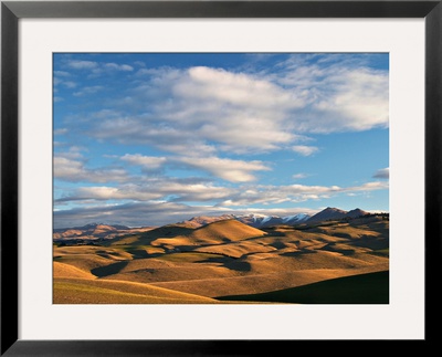 North Otago Landscape, South Island, New Zealand by David Wall Pricing Limited Edition Print image