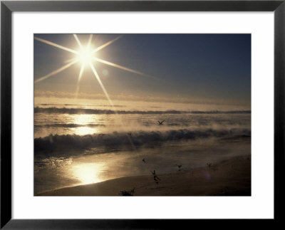 Ocean On Winter Morning, Florida, Usa by Nik Wheeler Pricing Limited Edition Print image