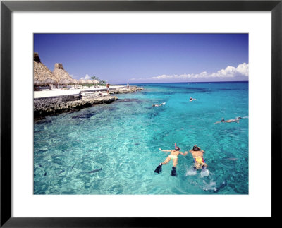Snorkeling, Chankenaab Lagoon, Cozumel, Mexico by John Anderson Pricing Limited Edition Print image