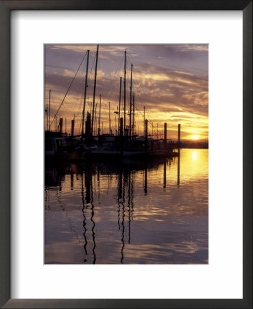 Sunset And Sailboat Masts At Public Marina, Bellingham, Washington, Usa by John & Lisa Merrill Pricing Limited Edition Print image