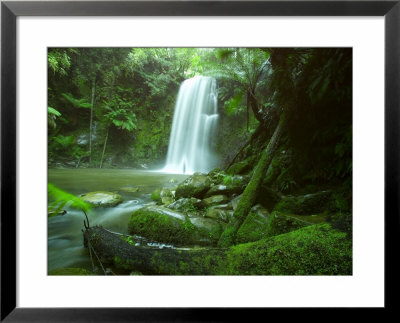 Beauchamp Fall, Waterfall In The Rainforest, Otway N.P., Great Ocean Road, Victoria, Australia by Thorsten Milse Pricing Limited Edition Print image