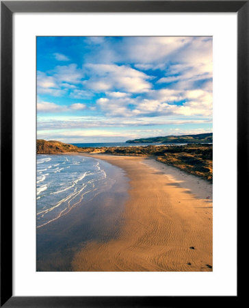 Cannibal Bay, Catlins, New Zealand by David Wall Pricing Limited Edition Print image
