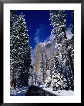 Winter Road And El Capitan, Yosemite Valley, California, Usa by Thomas Winz Pricing Limited Edition Print image