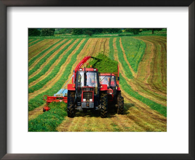 Tractor Collecting Grass From Field To Make Hay, United Kingdom by Chris Mellor Pricing Limited Edition Print image