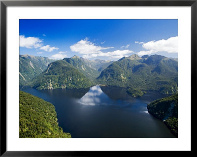 Bradshaw Sound, Fjordland National Park, South Island, New Zealand by David Wall Pricing Limited Edition Print image