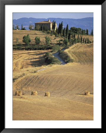 Rolling Landscape In Siena Province, Tuscany, Italy by Bruno Morandi Pricing Limited Edition Print image