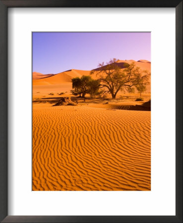 Sand Dune Landscape, Sossusvlei, Namibia World Heritage Site, Namib-Naukluft National Park, Namibia by Michele Westmorland Pricing Limited Edition Print image