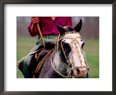 Gaucho On Horse, Buenos Aires, Argentina by Michael Coyne Pricing Limited Edition Print image