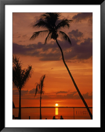 Sunset, Lee County, Fl by Jeff Greenberg Pricing Limited Edition Print image