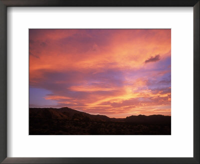 Sunset Over Silhouetted Landscape by Peter French Pricing Limited Edition Print image