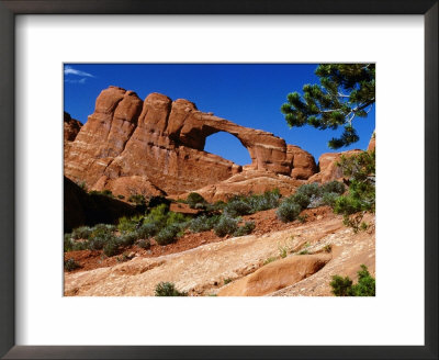 Skyline Arch, Arches National Park, Arches National Park, Utah, Usa by Carol Polich Pricing Limited Edition Print image