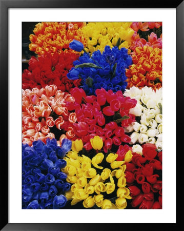 A View Of Tulips For Sale At The Albert Cuypstraat Market by Richard Nowitz Pricing Limited Edition Print image